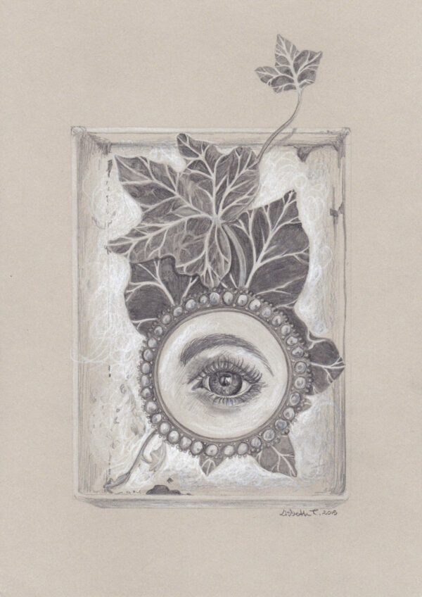 Stilllife with lovers eye and ivy in a box, drawing, tegning, art, kunst, Lisbeth Thygesen