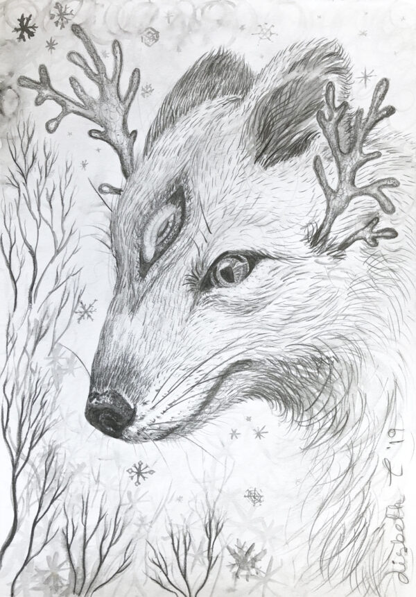 Polar, polar fox, creature, antler, Lisbeth Thygesen, drawing, pencil, tegning, blyant