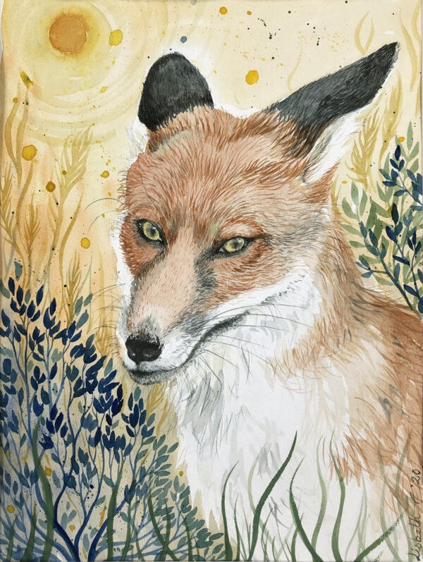 ræv, fox, vulpes vulpes, akvarel, maleri Lisbeth Thygesen